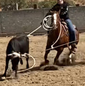 Meet your Posher, Bryce